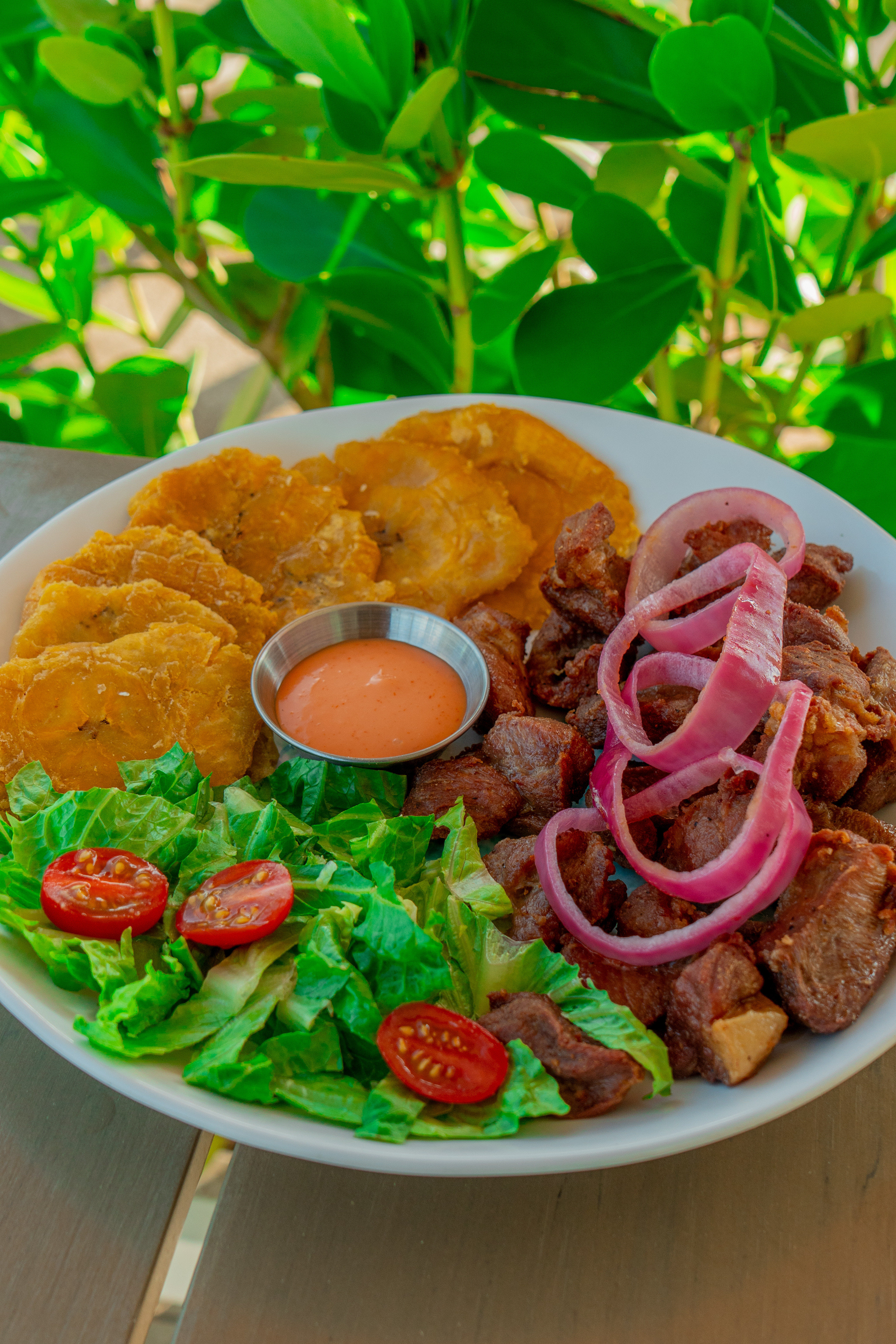 carnefrita