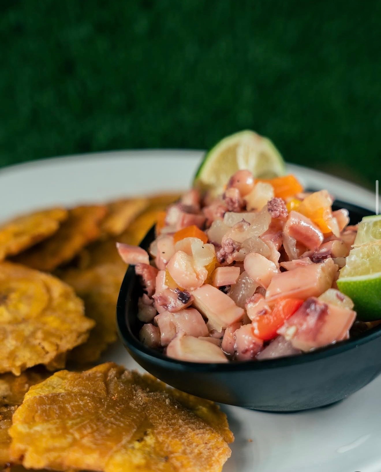 pulpo